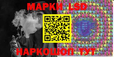 стафф Новокубанск