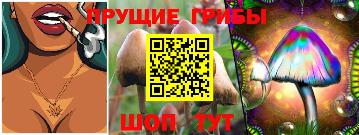 Семилуки  Псилоцибиновые грибы прущие грибы  Вход с VPN 